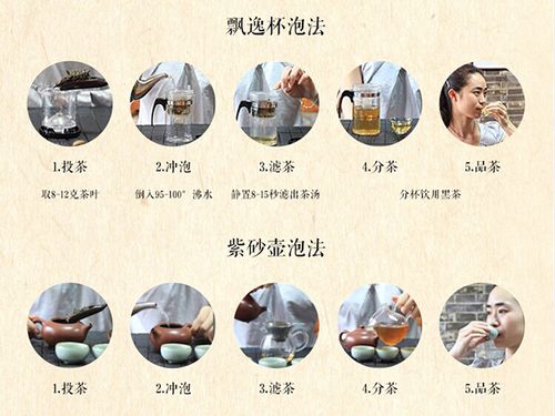 如何正确泡茶