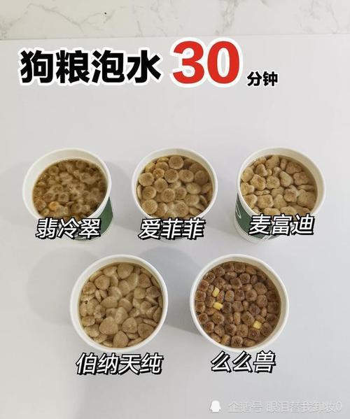 泡好的狗粮是什么样子