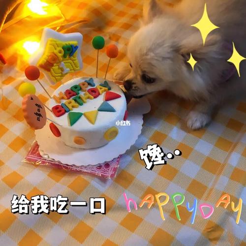 狗狗不能吃什么蛋糕