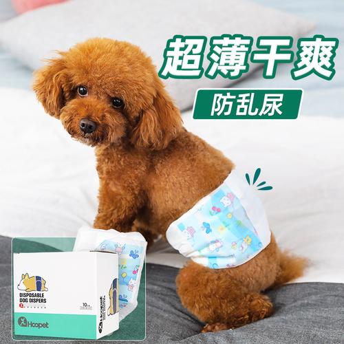 狗狗穿生理裤怎么上厕所