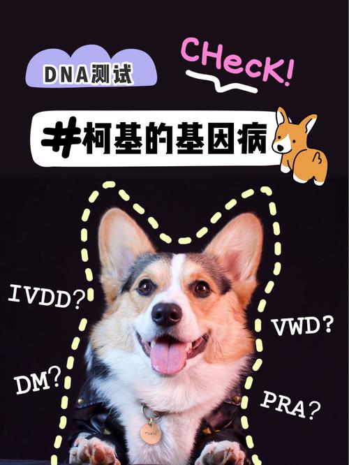怎么把狗狗基因变纯