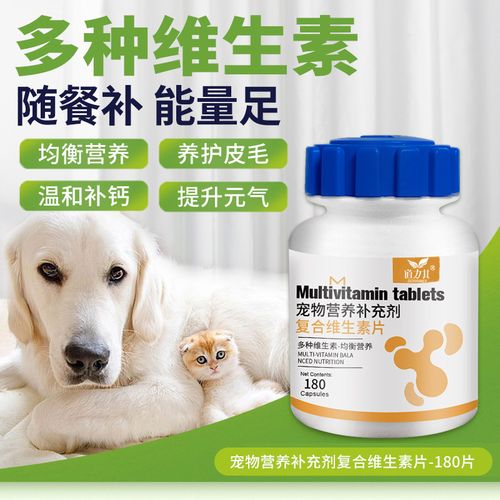 小狗狗吃什么补钙