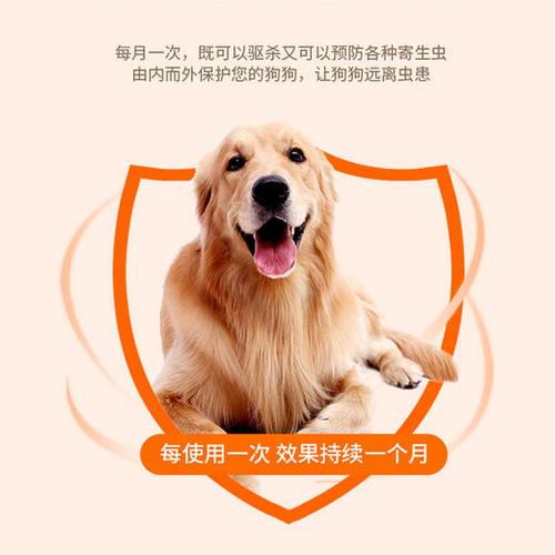 狗狗打虫药什么时候吃合适