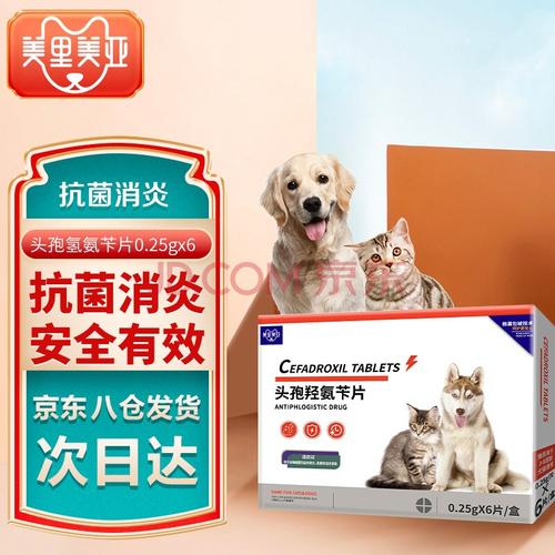 狗狗吃什么药消炎药