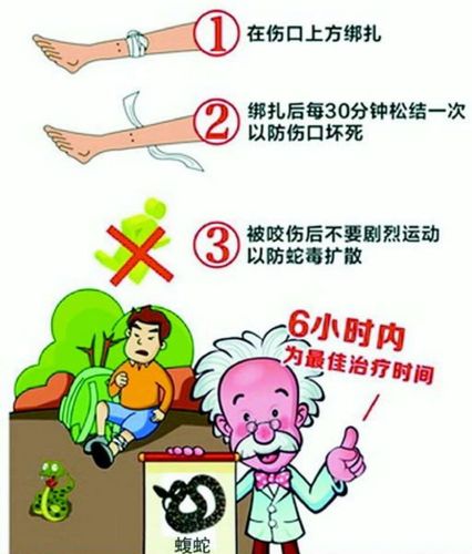 如何预防蛇咬伤
