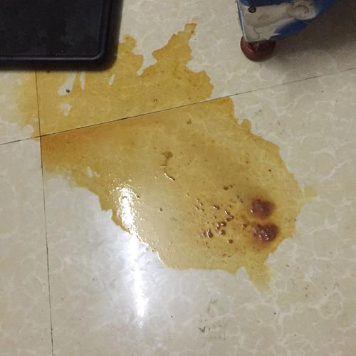 小狗吃什么拉大便带血