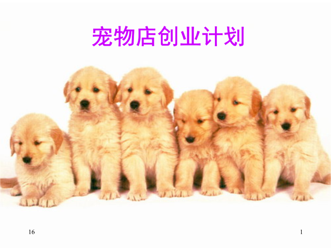 宠物店创业是什么类型