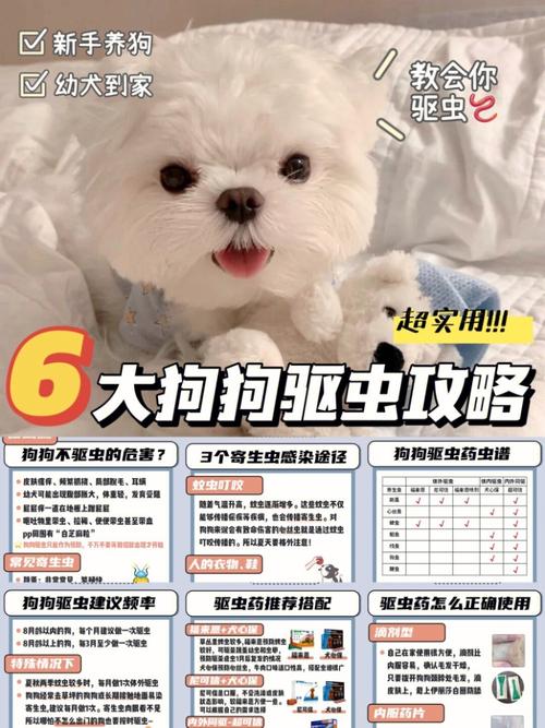 狗狗驱虫重复了怎么办
