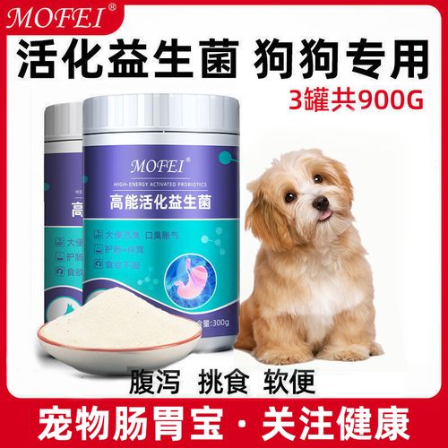 狗狗吃完就吐用什么要