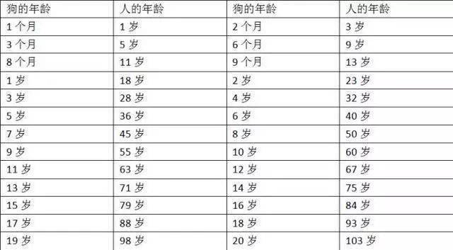 怎么计算幼犬年龄