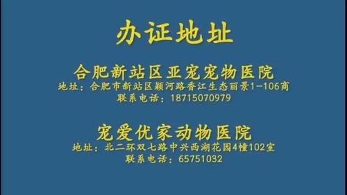 小狗怎么上户口