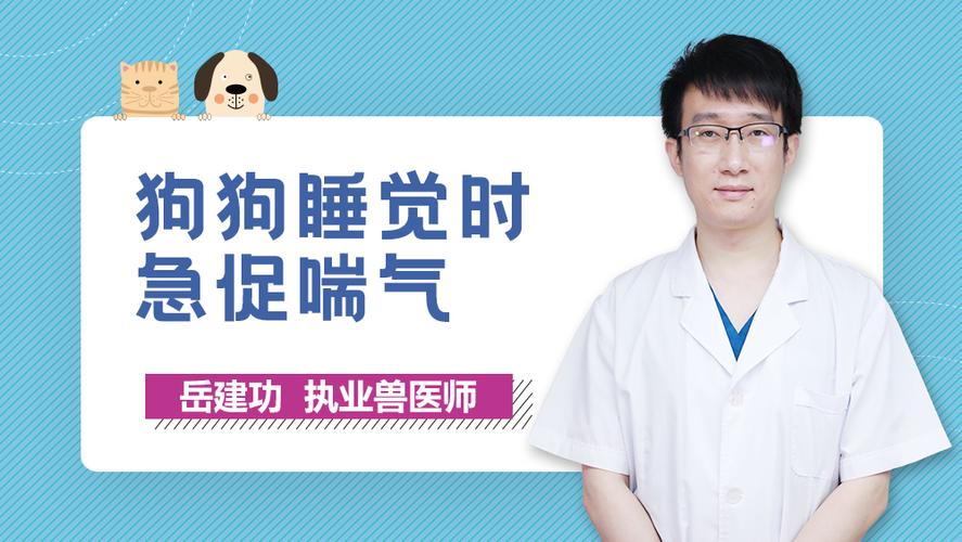 狗狗急促呼吸是什么病
