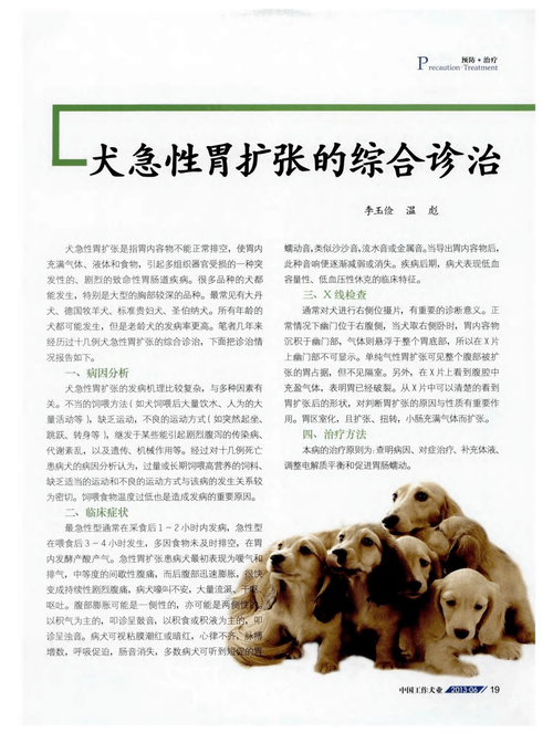 狗狗的胃能消化什么