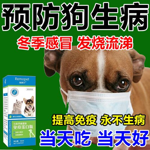 小狗流鼻涕什么药好使