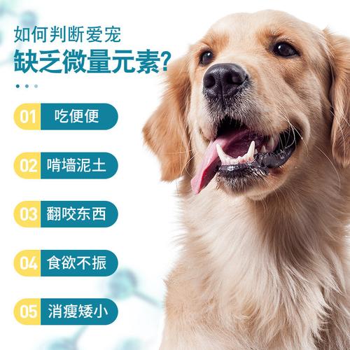 微量元素是什么狗狗