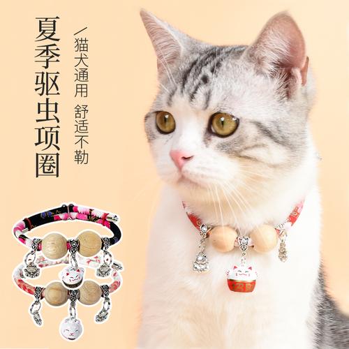 猫咪戴什么可以防止跳蚤