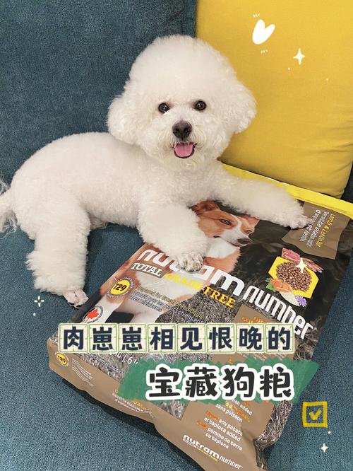比熊吃什么狗粮去体味