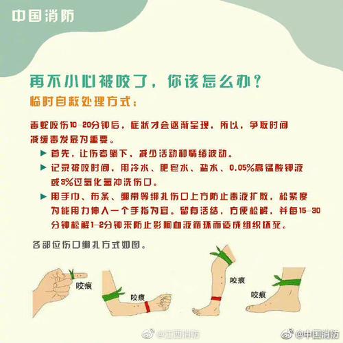 如何防止被咬伤