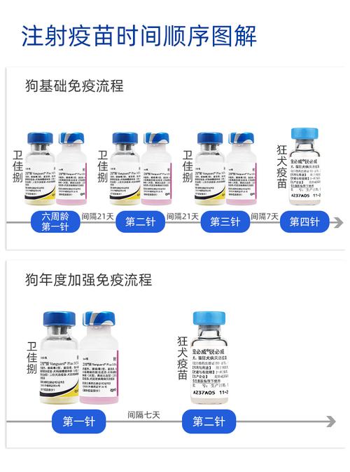 狗狗疫苗五联八联是什么意思