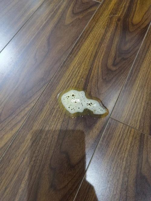 狗狗呕吐是怎么治疗