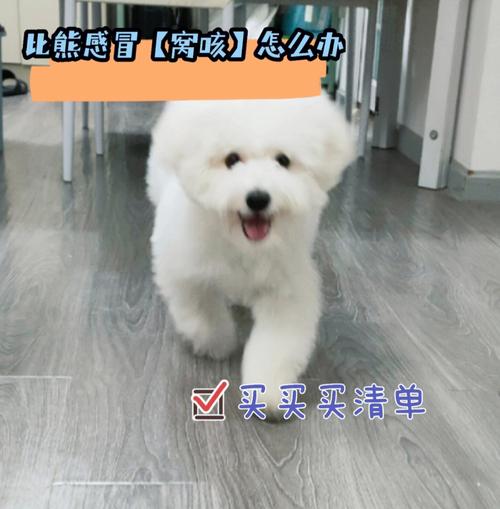比熊狗打喷嚏咳嗽吃什么药