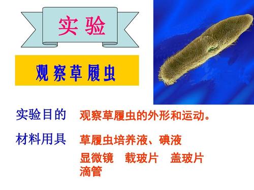 如何防止草履虫