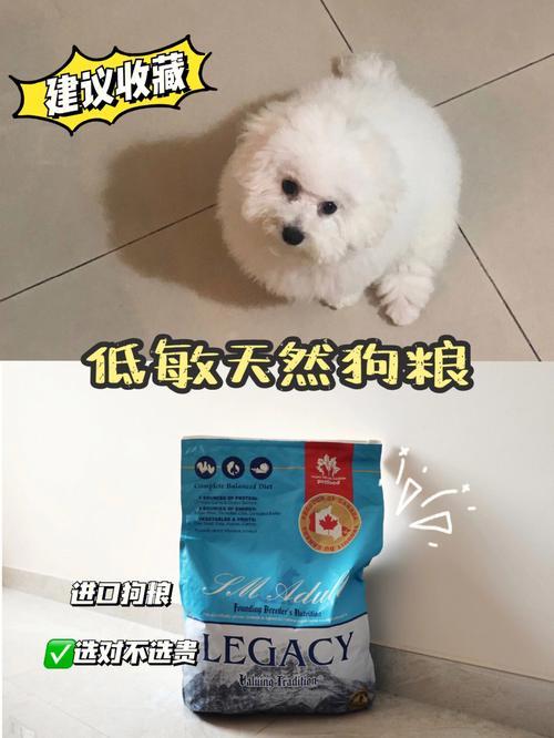 四个月的比熊吃什么狗粮