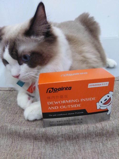 十天的猫咪吃什么药好