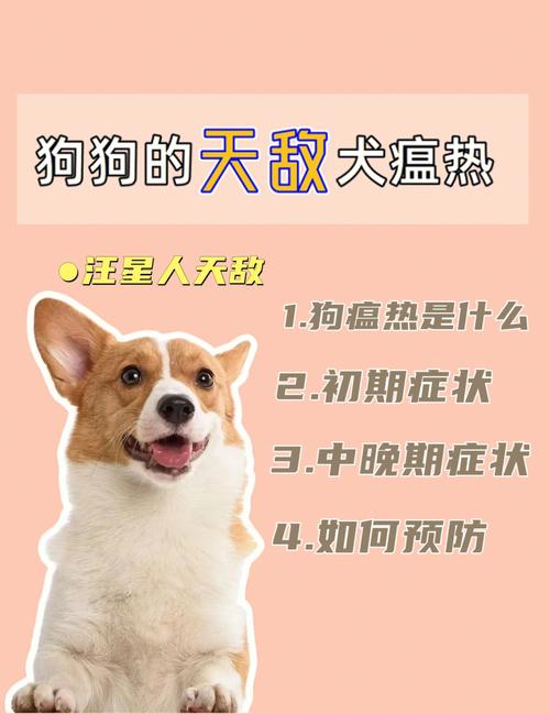如何预防狗瘟热