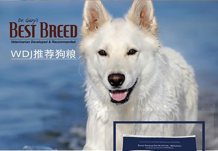 美国极誉狗粮怎么样