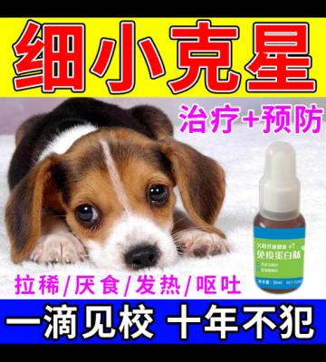 细小之后狗狗吃什么药