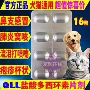 狗狗总淌鼻涕吃什么药