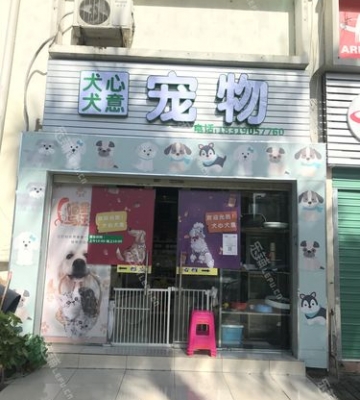 为什么商场很少有宠物店