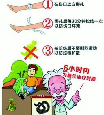 如何预防蛇咬伤