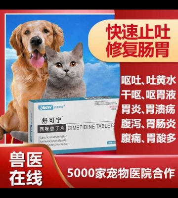 狗狗慢性胃炎吃什么