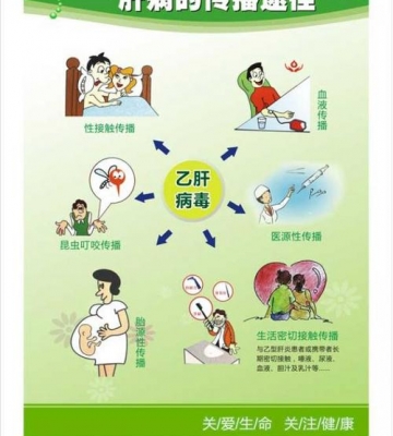 如何预防肝病