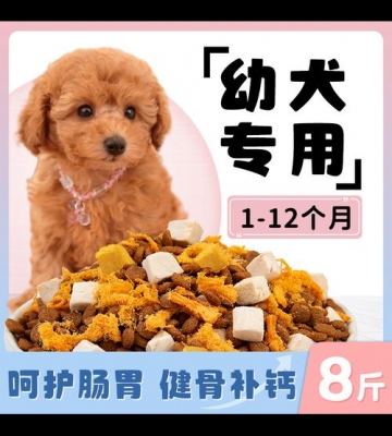 三个月泰迪狗粮怎么做