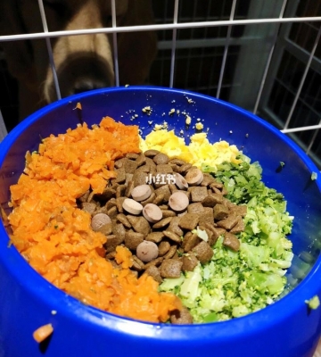 金毛狗的营养餐怎么做