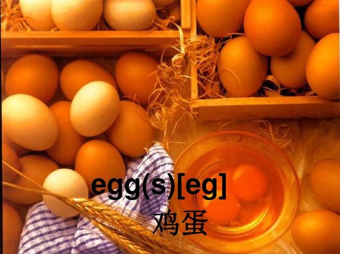 鸡蛋的英语怎么写